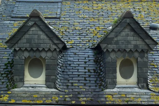 Démoussage de la toiture d'une maison à Rennes, Rennes, Façade services