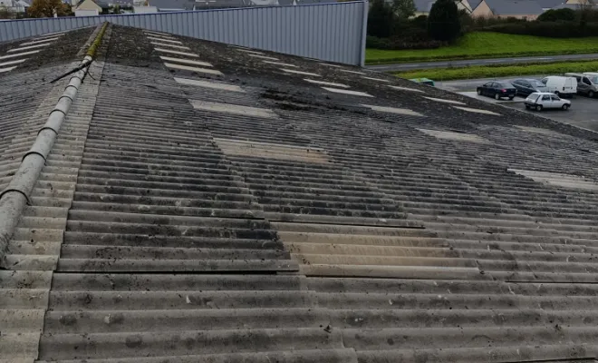 Bonjour Aujourd'hui démoussage , Rennes, Façade services