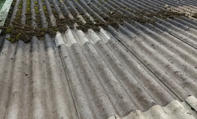 Bonjour Aujourd'hui démoussage , Rennes, Façade services