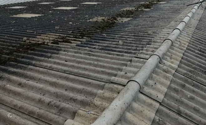 Bonjour Aujourd'hui démoussage , Rennes, Façade services