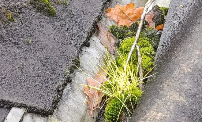 Bonjour intervention Rennes, Rennes, Façade services