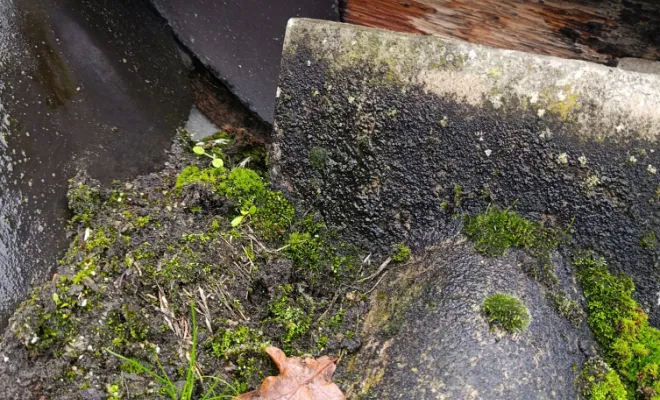 Bonjour intervention Rennes, Rennes, Façade services