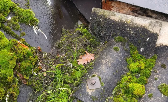 Bonjour intervention Rennes, Rennes, Façade services