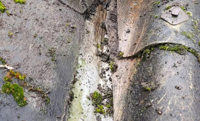 Bonjour intervention Rennes, Rennes, Façade services